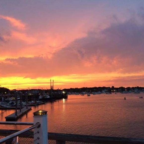 Meet your Posher, Alvena - Picture 1 of 1